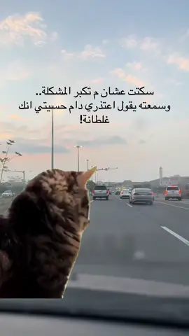 #Meme #MemeCut 