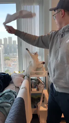 Living my best life as a @Canucks fan with dad  #catmeme #funnycat