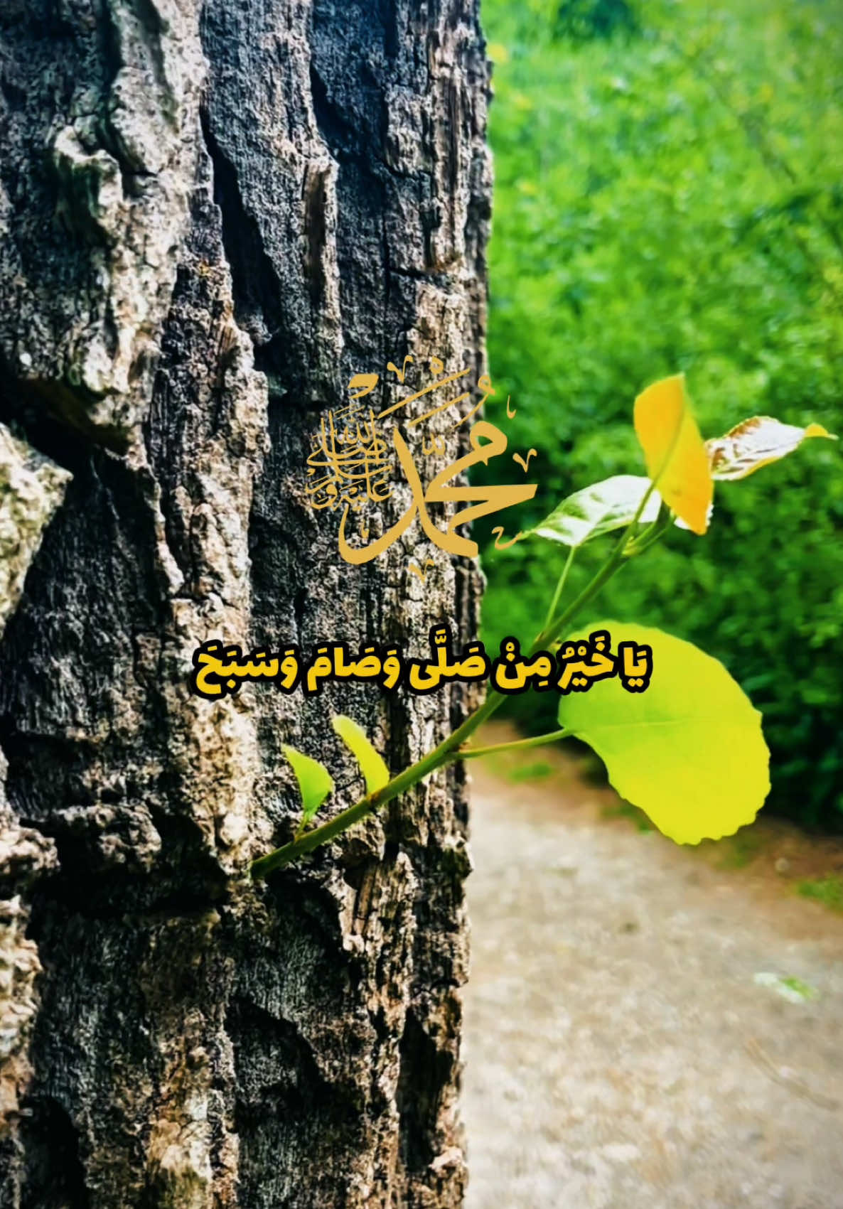 عليك أفضل الصلاة والسلام يا رسول الله ♥️ . #صلوا_على_رسول_الله #عليه_افضل_الصلاه_والسلام #ليلة_الجمعة #يوم_الجمعه #الصلاة_والسلام_عليك_ياحبيبي_يارسول_الله #اكسبلور #fyp #صلوا_على_النبي #الحمدلله_دائماً_وابداً #صلوا_على_رسول_الله #السعودية 