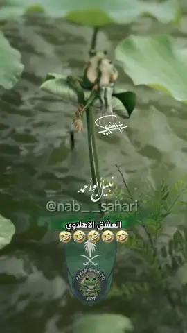 الاهلي والاتفاق#دوري_روشن_السعودي #أبو_أحمد💙🤍💙🥶 #الاهلي #الاتفاق #CapCut #pov #الهلال #النصر @Abu-2 @عمر هزازي💙🤍🔥🫡 @¤ شوشو ¤ ♏️ @حادي العيس @Maha mh @💙الزعيم الهلالي💙 @شايب هلالي🤍💙 @سآميَ 💙☪︎🇸🇦 