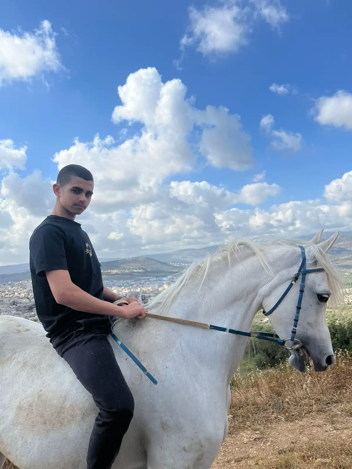 #فوريو #خيل_وخياله🐎 #عرابه_البطوف #ماشاءاللّٰه_سبحان_اللّٰه_💖 #اكسبلور #foryou #fyp #fyyyyyyyyyyyyyyyy 