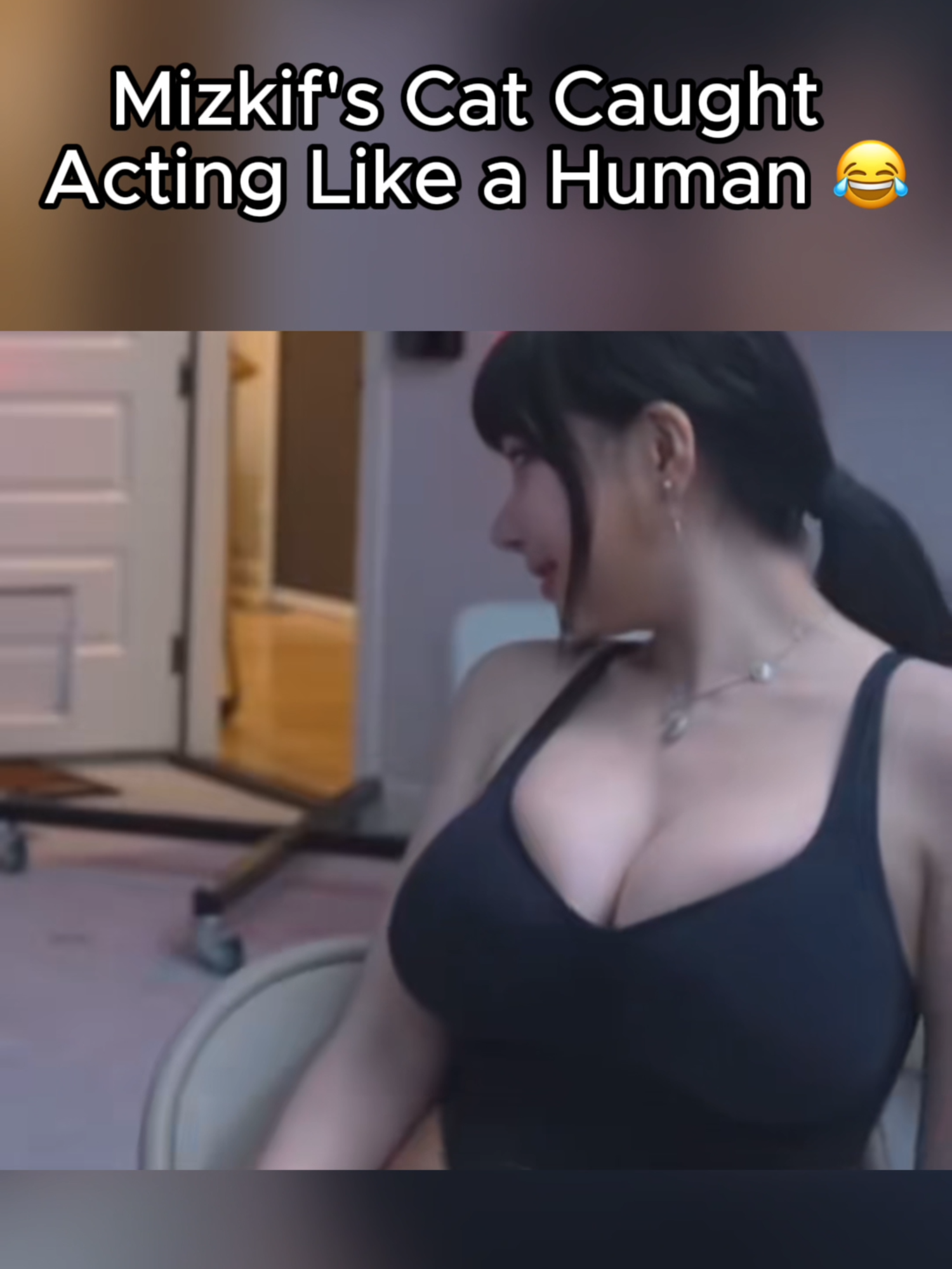 Mizkif's Cat Caught  Acting Like a Human 😂 | #mizkif on #twitch #asianbunnyx #cats  - - - credit: baker_clipz27