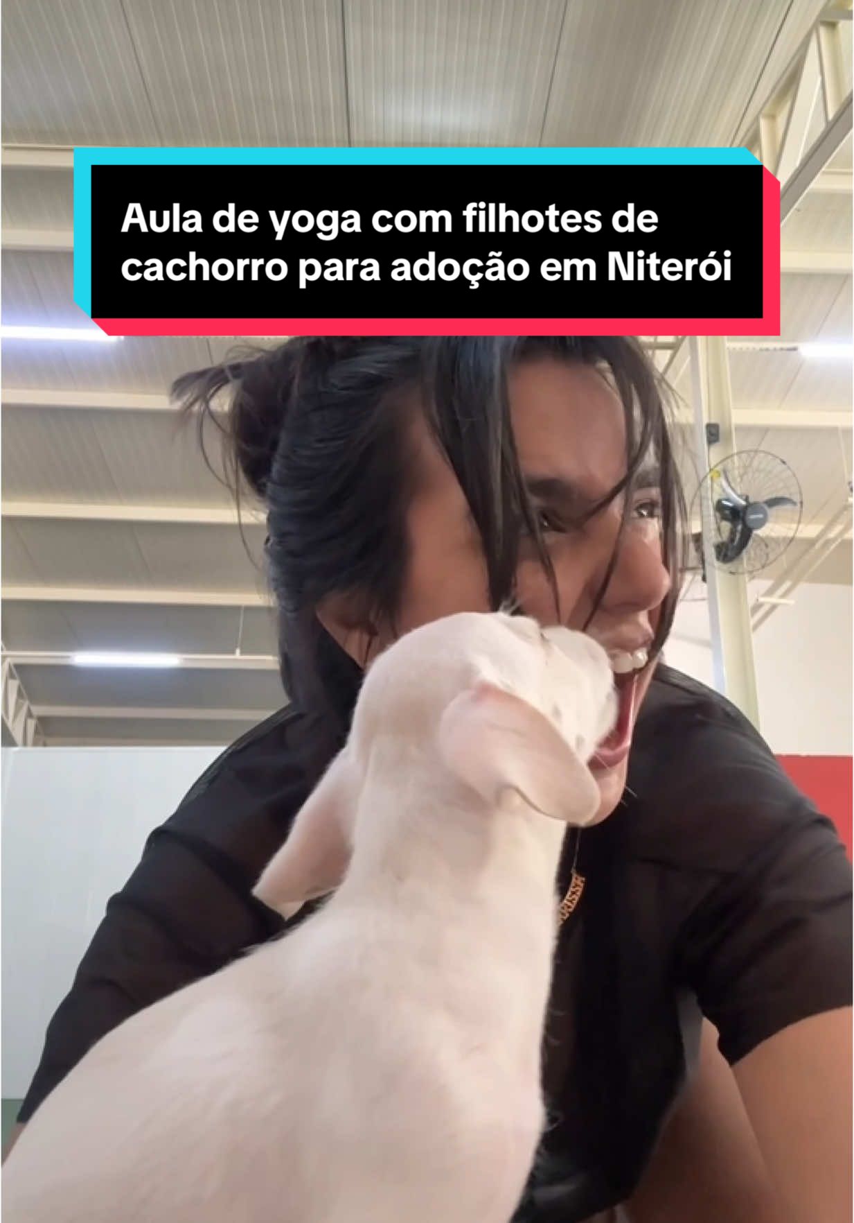YOGA COM FILHOTES EM NITERÓI 🐶 Prontos pra uma experiência zen que une bem estar com uma dose de fofura? O Puppy Flow chegou em Niterói trazendo a prática de yoga mais fofinha que vocês já viram. Eles unem a prática milenar com filhotinhos espalhados pelo ambiente. E você ainda pode levar pra casa! Vem ver: Puppy Flow Próxima edição: 8/06 Local: Club Pet Niterói (Av. Roberto Silveira, 485) Sessões: 9h, 11h e 13h Valor: R$159 (inclui aula, interação com os filhotes, drinks e outros mimos) CUPOM: seguidores do NitDicas têm R$10 DE DESCONTO usando o cupom NITDICAS10. Vendas a partir de 06/05/25! Todos os filhotes estão disponíveis para adoção responsável. Parte do valor é doada diretamente para as ONGs parceiras. Participando da aula você: divulga a causa, incentiva a doação consciente e gera recursos para salvar mais vidas! O que acharam dessa iniciativa? Deixe nos comentários! #yoga #ioga #puppy #puppyyoga #yogacomcachorro #filhotes #cachorro #dogs #niteroi #niteroiense #niteroirj #niteroivibes #nikity 