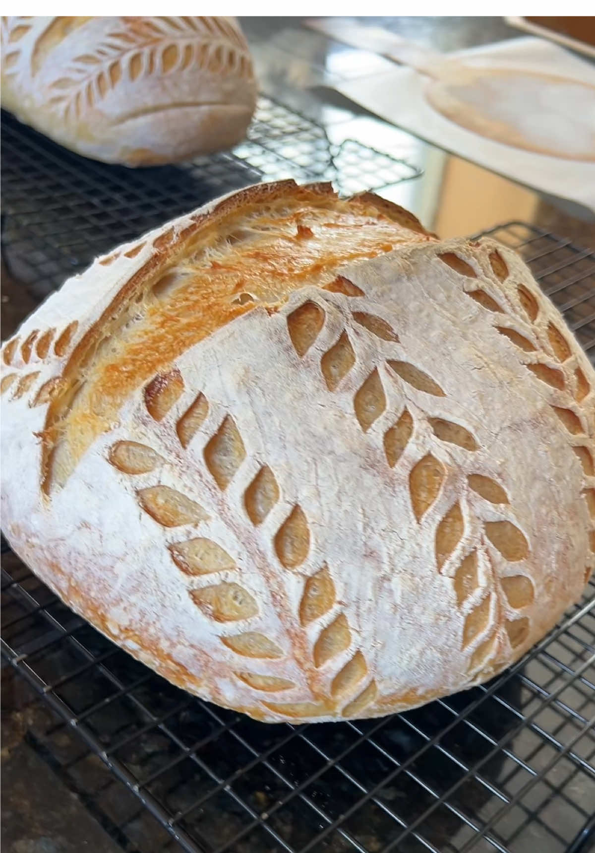 Scoring is fun. I love when it works out how you hoped it would. 😅 #sourdoughscoring #sourdoughtok #sourdoughbread #makingsourdough #teachergifts #MadeWithLove 