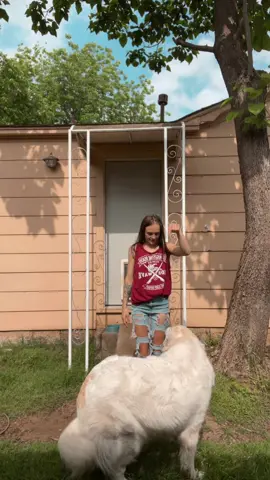 Babygirl always wants to be in my videos! As soon as I start dancing she’s at my feet! #fyp #foryou #foryoupage #trend #dance #dog #gp 