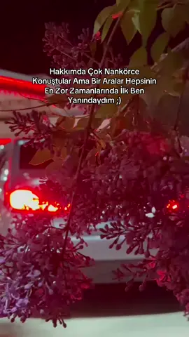 Oda Onların Ayıbı Olsun. #doğubeyazıt #cahitbirdal #16bhm114 #bmwclub 