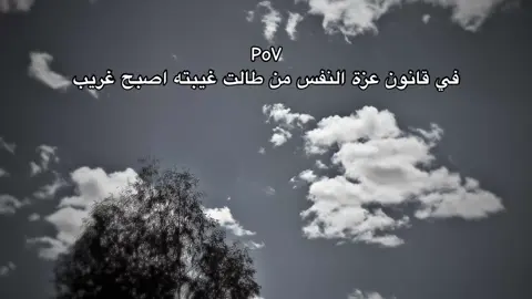 #القائد_بوجبر #تصميم_فيديوهات🎶🎤🎬 #المعروف_لايعرف #تصويري_احترافي_الاجواء👌🏻🕊 