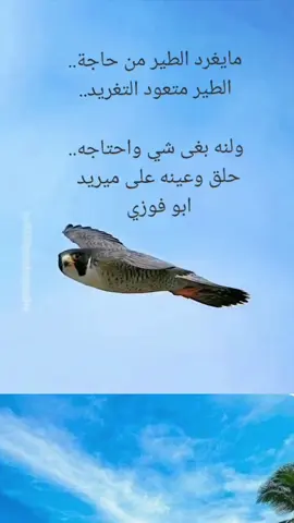 #كسرات_ابو_فوزي_الظاهري 