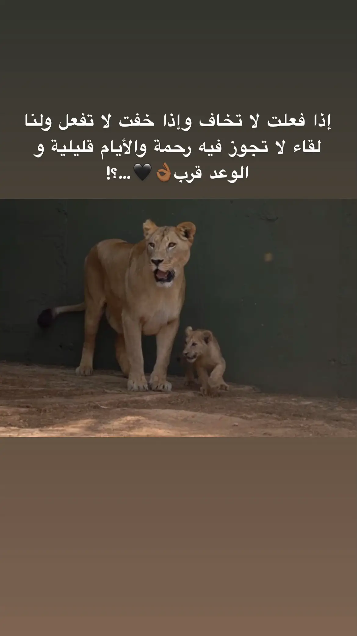#fupシ゚viral #🖤tiktok #عبارات #viralvideo #الناصره_الشامخه👑🦅 #fypage #シ゚viral #عباراتكم_الفخمه📿📌 #foryou #اقتباسات 