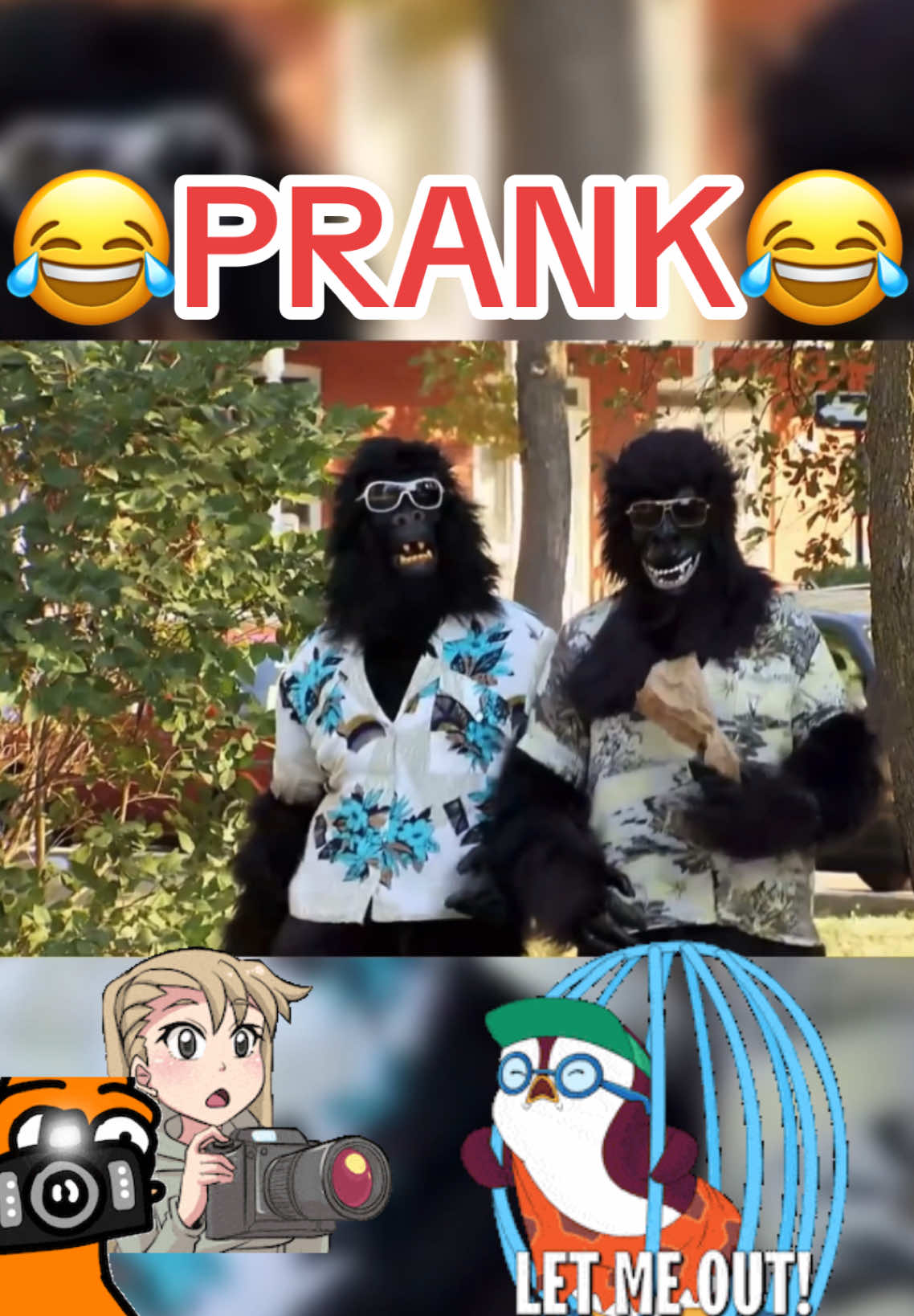Follow @PrankKing2025 ❤️Homo sapiens in cage prank!😂 #funny #prankvideo #prankwars #gags #jfl2025 #fyp 