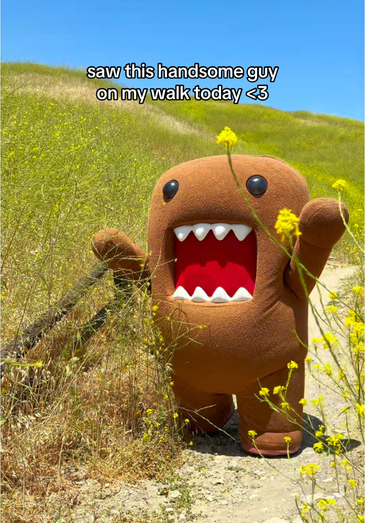 Where would you take this handsome Domo? #domo #domokun