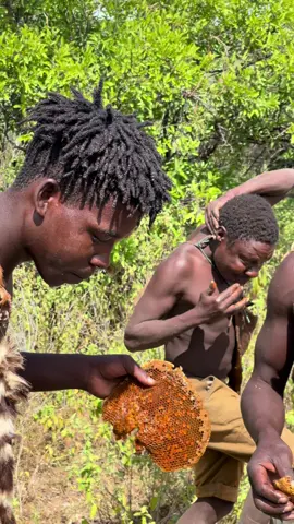 The bees taught Chaaba and his team a serious lesson today 😅🔥. 