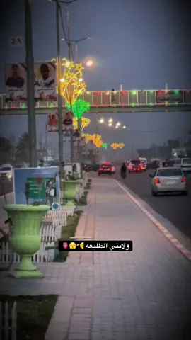 #الطليعه🤚بابل #شعراء_وذواقين_الشعر_الشعبي #شعب_الصيني_ماله_حل😂😂 