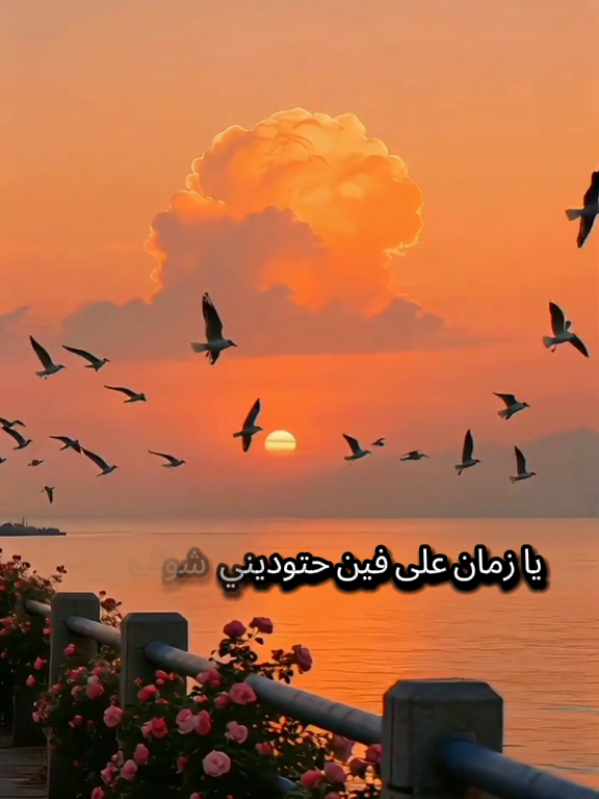 يا زمان على فين حتوديني المنشد احمد حسن الاقصري #انشاد_دينى #المنشد_احمد_حسن_الاقصري  #foryou #fyp #مداحين_سيدنا_النبي #منشدين @المنشد احمد حسن الاقصري 