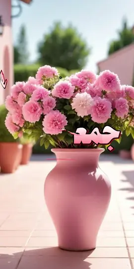 #حالات #حالات_واتس #ستوريات #صباح_الخير #صباحكم_معطر_بذكر_الله #جمعة_طيبة_مباركة #دعاء #يوم_الجمعه 