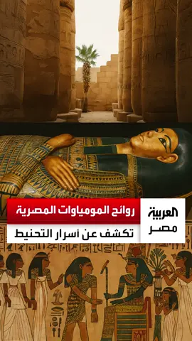 بعضها يشبه الشاي الأسود والتوابل.. علماء يكشفون عن روائح ذكية للمومياوات المصرية تبوح بأسرار جديدة عن التحنيط #العربية_مصر