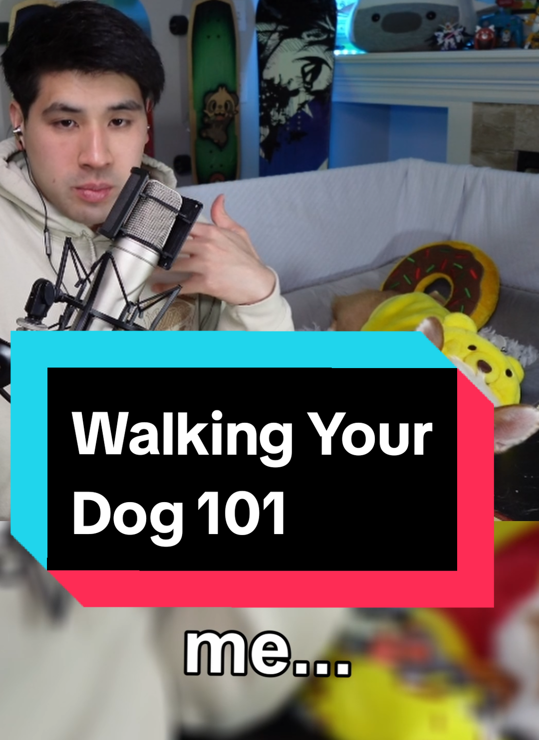 who's really walking who??? #corgination #corgilove #corgis #corgisoftiktok #corgilife #smallstreamer #streamersoftiktok #twitchtok 