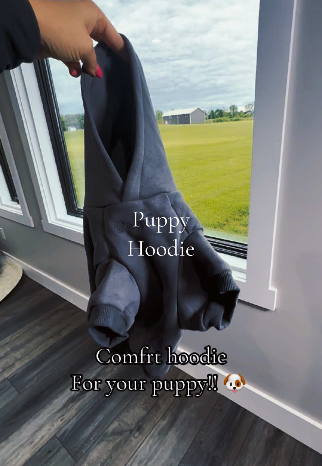 @Comfrt this is a size large and would fit a small Yorkie- Size up!!!!!! #dog #dogsofttiktok #dogsoftiktok #dogclothes 