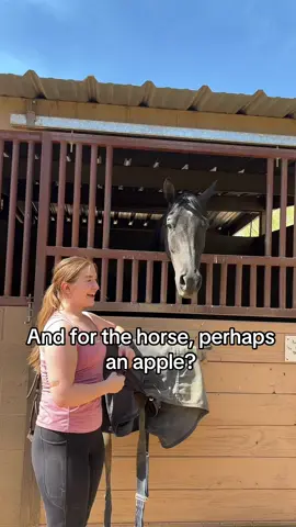 We all need a @Starbucks pink drink sometimes!!! #foryou #horses #pink #pinkdrink #hearthorse #equestriansoftiktok #equestrian #arabianhorse #halfarabianhorse #fyp #equestrianfails #equitation 