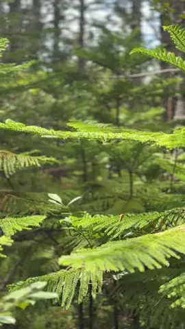 #breathe