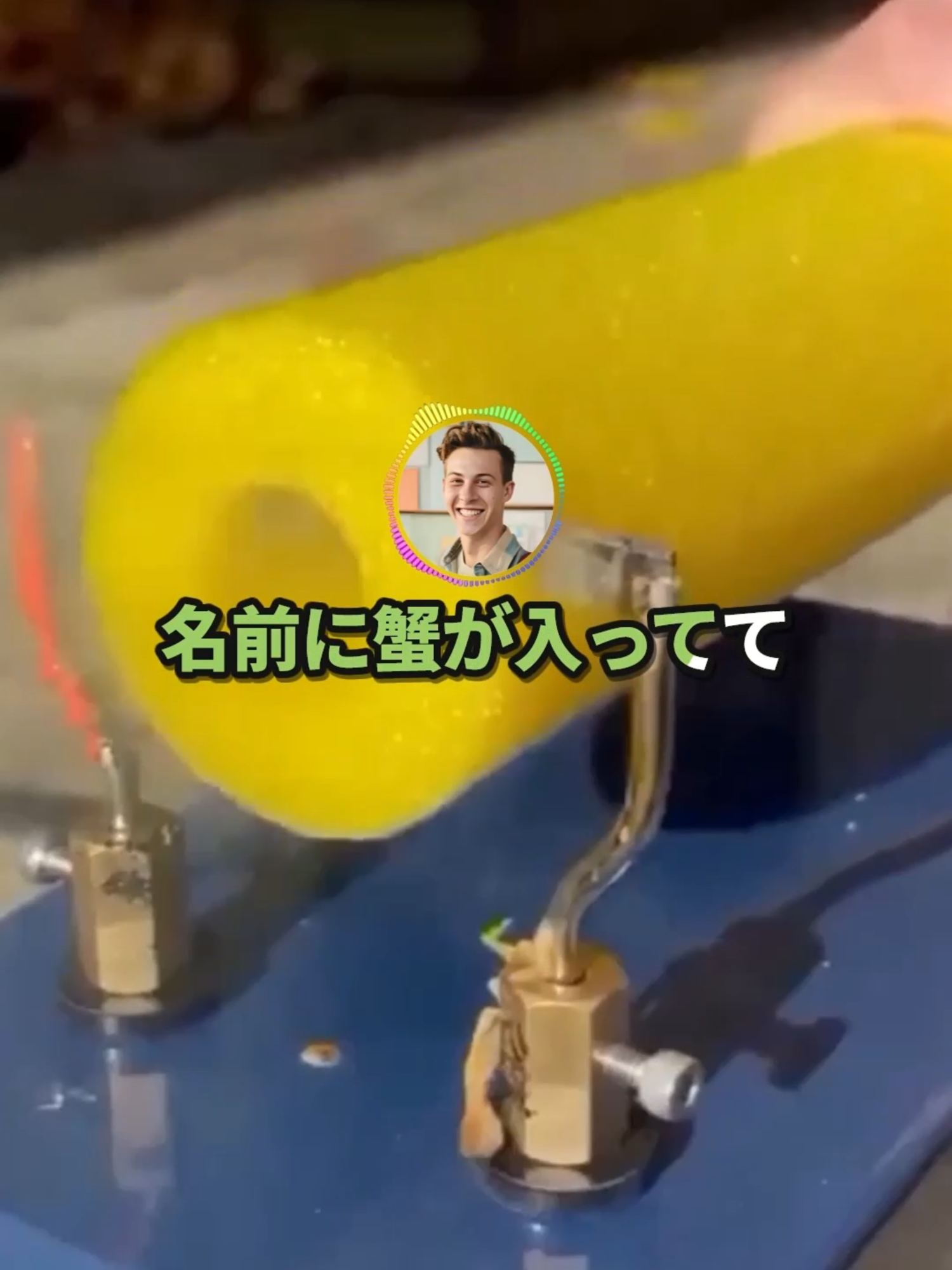 【2ch】彡(｡)(；)「名前に蟹が入っててまじで嫌なんやけど」 →最強の自虐ネタにスレ民爆笑ｗｗｗ #2ch #面白スレ #なんj #fyp #1分ジョーク公式