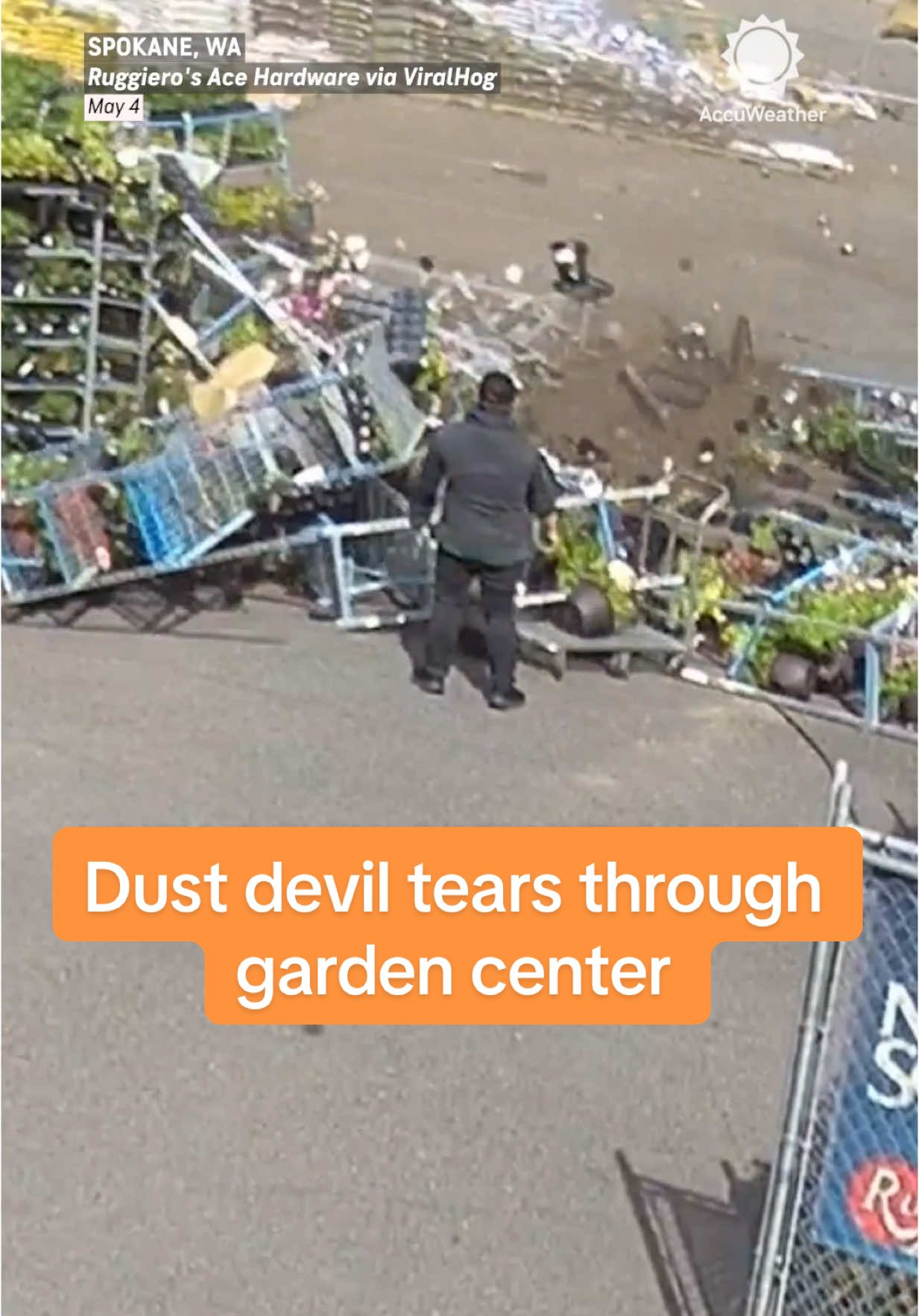 retail is wild these days….    #wind #weathertok #jobdescription #flowers #gardening #fyp 