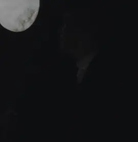 Sitting after losing everything