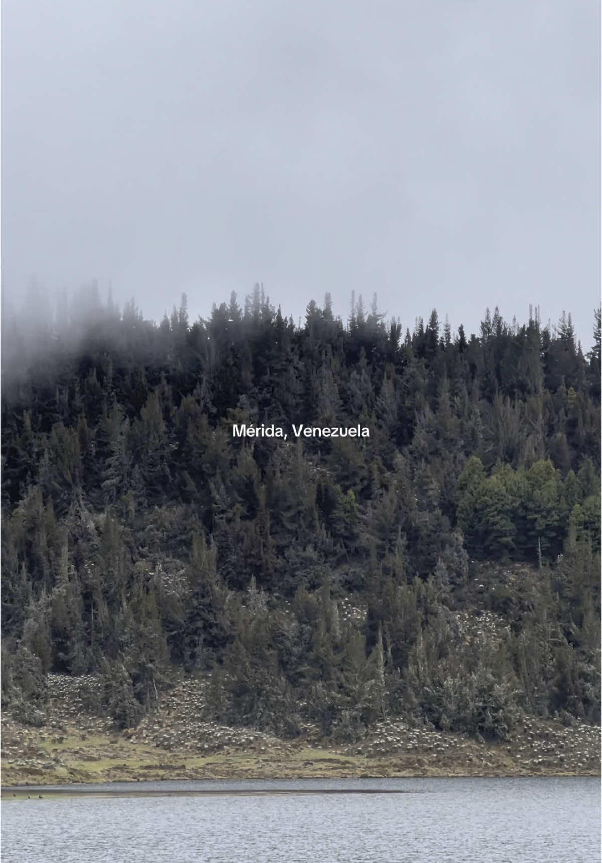 Merida, venezuela ❤️ #venezuela #venezuela #mucubaji #sierranevada #fyp 