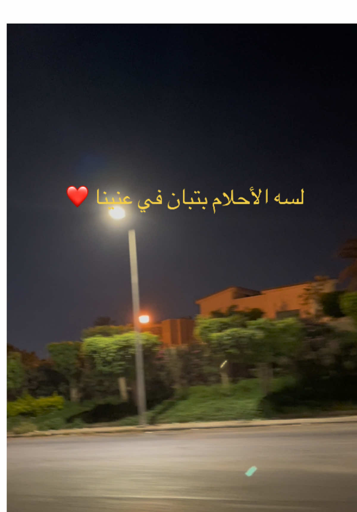 #عامر_منيب #لسه_الاحلام_بتبان_ف_عنينا #لسه_الاحلام_بتبان_ف_عنينا🥺🤍 #golf7 #golf #🥰🥰🥰🥰❤️❤️❤️ 