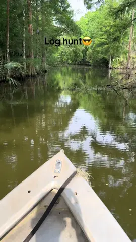 #loggingmachine #woodtok #cypress #louisiana #fyp 
