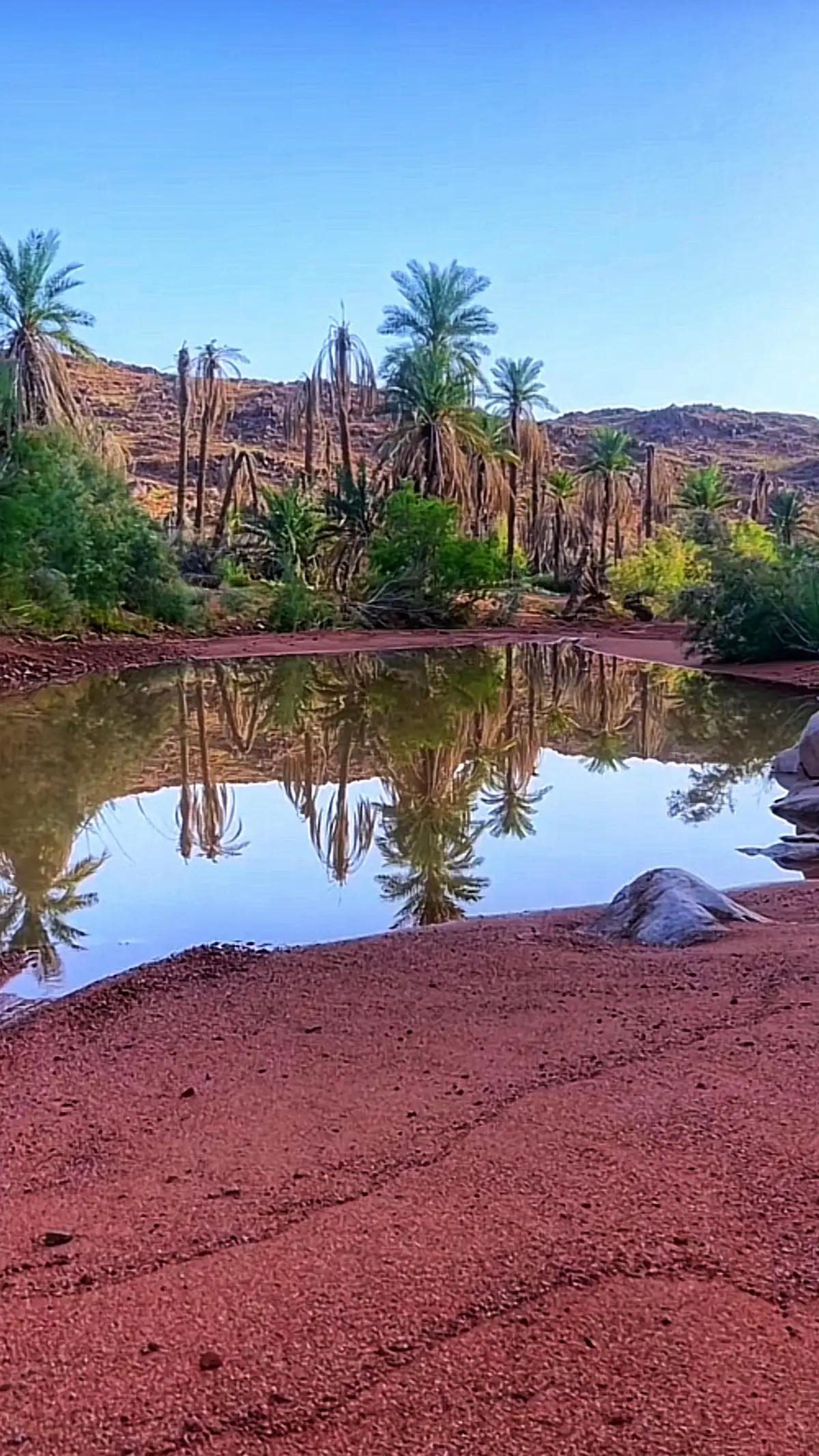 ‏من طبيعة حائل #حايلندا_اكسبلور🧡🧡  #حائل_تيك_توك_حايلنا  #تصويري_سنابي_يومياتي🦌📷 