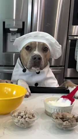 Perfect summertime treat for your pups! We used our favorite @Open Farm Pet products for our pupsicles! Use code INDIE15 to save. Our popsicle holders and molds are from @mywoof use code INDIE10 to save 