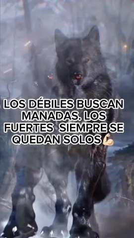 #CapCut #reflexiones #CapCutMotivacional #💥🔥🌹❤️💛💚 