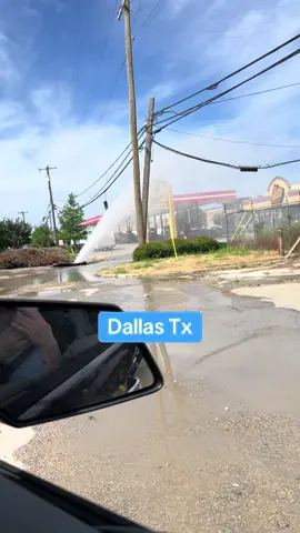 Dallas Tx #fyp #foryoupage #dallas #dallastx 