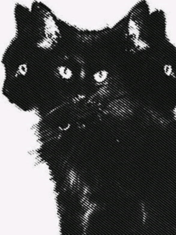 Yo soy honesto Tu eres honesto? Colab con @En Honor A Canserbero 🤴  #seamoshonestos #giveme5 #canserbero #nicojp #afromak #lilsupa #venezuela #hiphop #conciencia #rap #quererquerernos #maquiavelico #stupidlovestory 