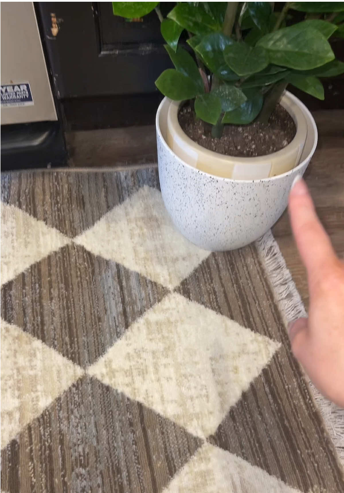 Check This Out—Rug Goals Unlocked 🏁✨ #CheckeredRug #MelamineStyle #RugGlowUp #TikTokHomeFinds #BoldFloorVibes #PatternPlayDecor #ModernRugDesign #HomeAestheticGoals #StatementRug #CozyAndChic #DecorGameStrong #InteriorInspo #HomeStyleTrend #CheckMateDecor #RugRefresh
