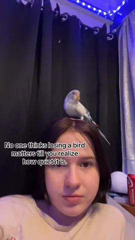 I already miss your chirping. 
