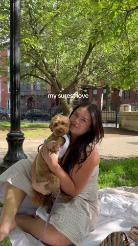 the bird was a paid actor.. 