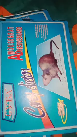 #sticky #adhesiveboardformouse #mouse #fypage #fyppppppppppppppppppppppp #fypp 