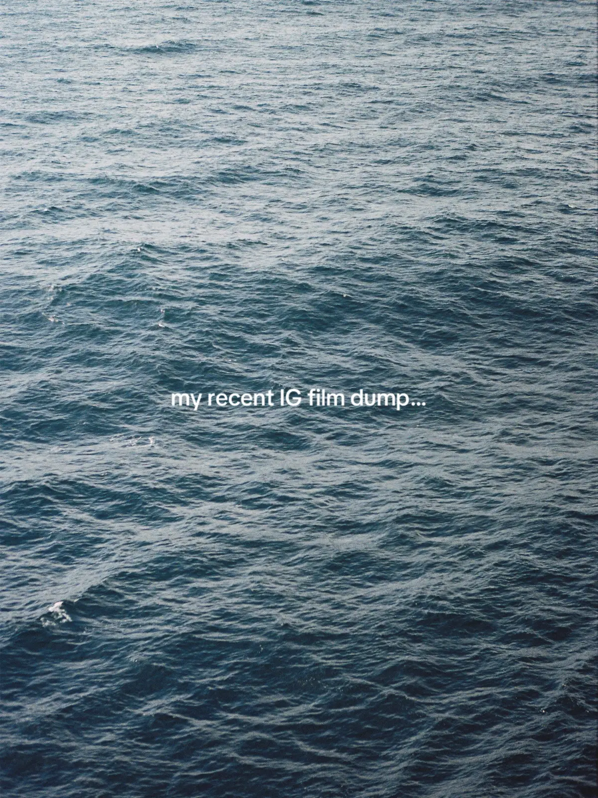 some of these been sitting in the cameraroll for too long🎞️ #35mm #filmphotography #filmcamera #photodump 