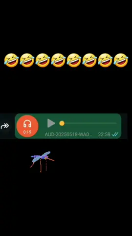 #🤣🤣🤣 #videoengracado #audiosengraçados #engraçados #humorbr #amigos #memesbr #humorbrasil 