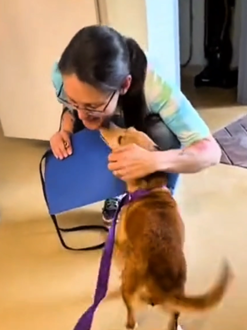 The Tear-Jerking Moment Dogs Realize They’ve Been Adopted 🥺❤️ #dog #doglover #dogsoftiktok #doggo #shelterdog #adopted #fyp #foryoupage 