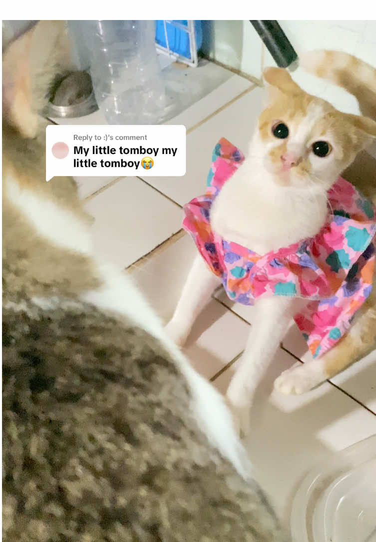 Replying to @:) HAHAHAHAHH #fyp #indaymikmik #migogirl