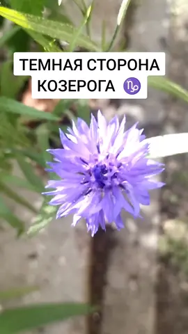 Напишите ДА и дату рождения,если согласны! Подписывайтесь, здесь много интересного!#козерог #знакизодиака #знакизодиакафакты 