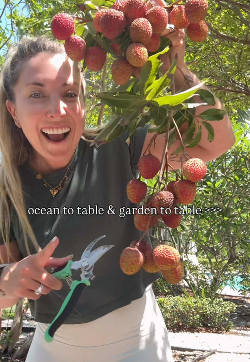 Spring harvest season is in full swing — and our garden showed up. Harvested 70 coconuts, hundreds of lychees, and enough mangoes to open a fruit stand… 🥥🥭 Now we husk, chop, freeze, repeat. It’s not just about catching our food — we grow it too. I’ve always loved knowing where my food comes from — and that doesn’t just apply to fish and seafood. There’s something deeply fulfilling about growing, harvesting, and sharing it with people you love. We’re feeling so blessed for the abundance right here at home — and even more grateful to be able to share it with friends and family. #garden #tropicalgarden #mangoes #lychees #eatwhatyougrow #gardentotable #coconutgirl 