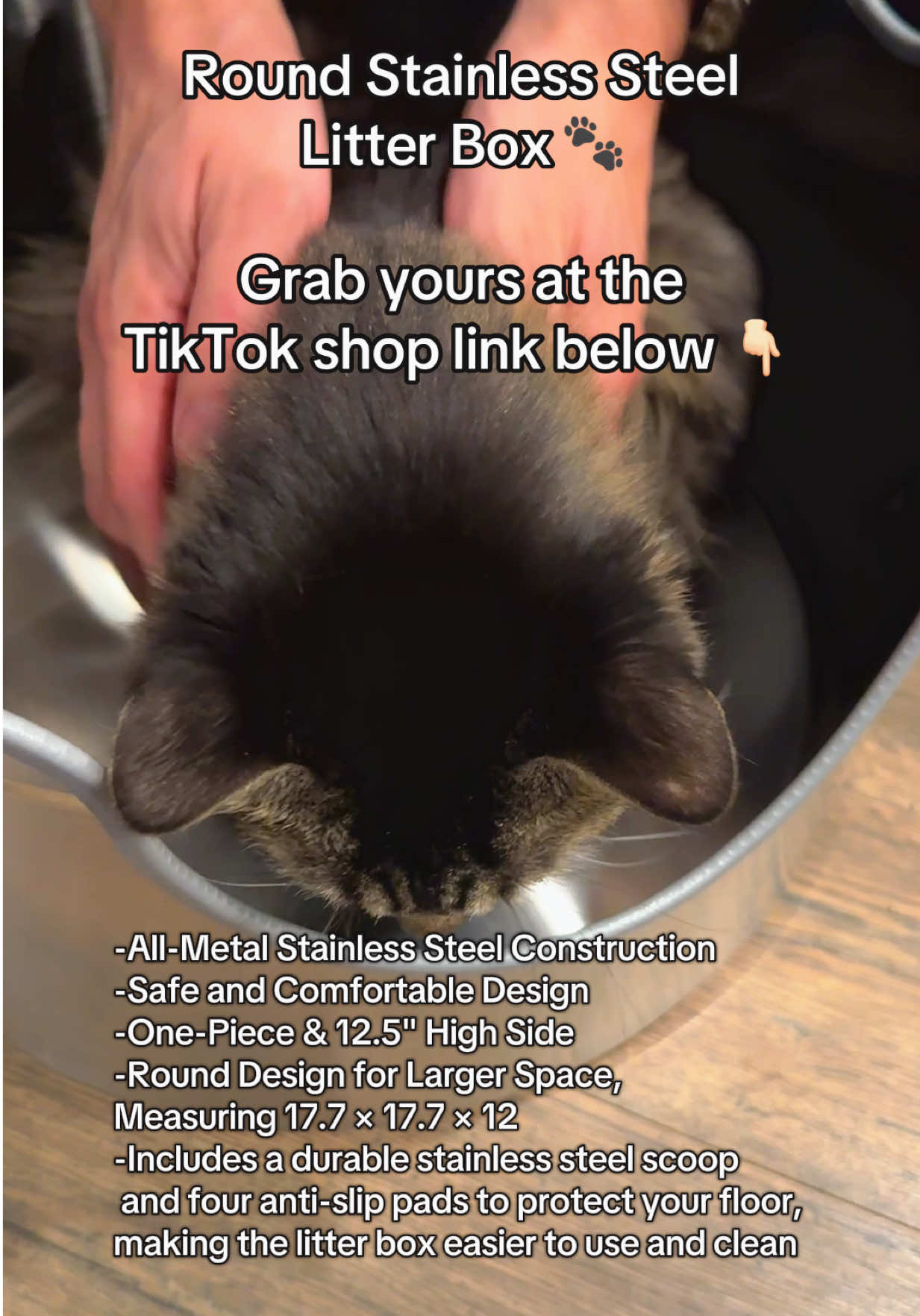 XXL litter box: perfect for all cats! #catsoftiktok #catessentials #fyp 