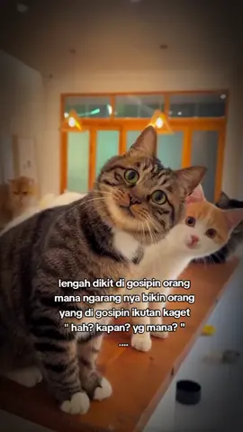 ✌ #foryoupage #janganlupabahagia #beyoureself #randomstory 