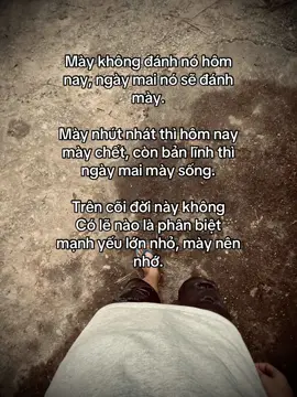 Mày không đánh nó hôm nay, ngày mai nó sẽ đánh mày. Mày nhút nhát thì hôm nay mày chết, còn bản lĩnh thì ngày mai mày sống. Trên cõi đời này không Go le nao la phan biet mạnh yếu lớn nhỏ, mày nên nhớ.#duet #thanhlam682007 #fyp #keşfet #xuhuong #Love #trend 