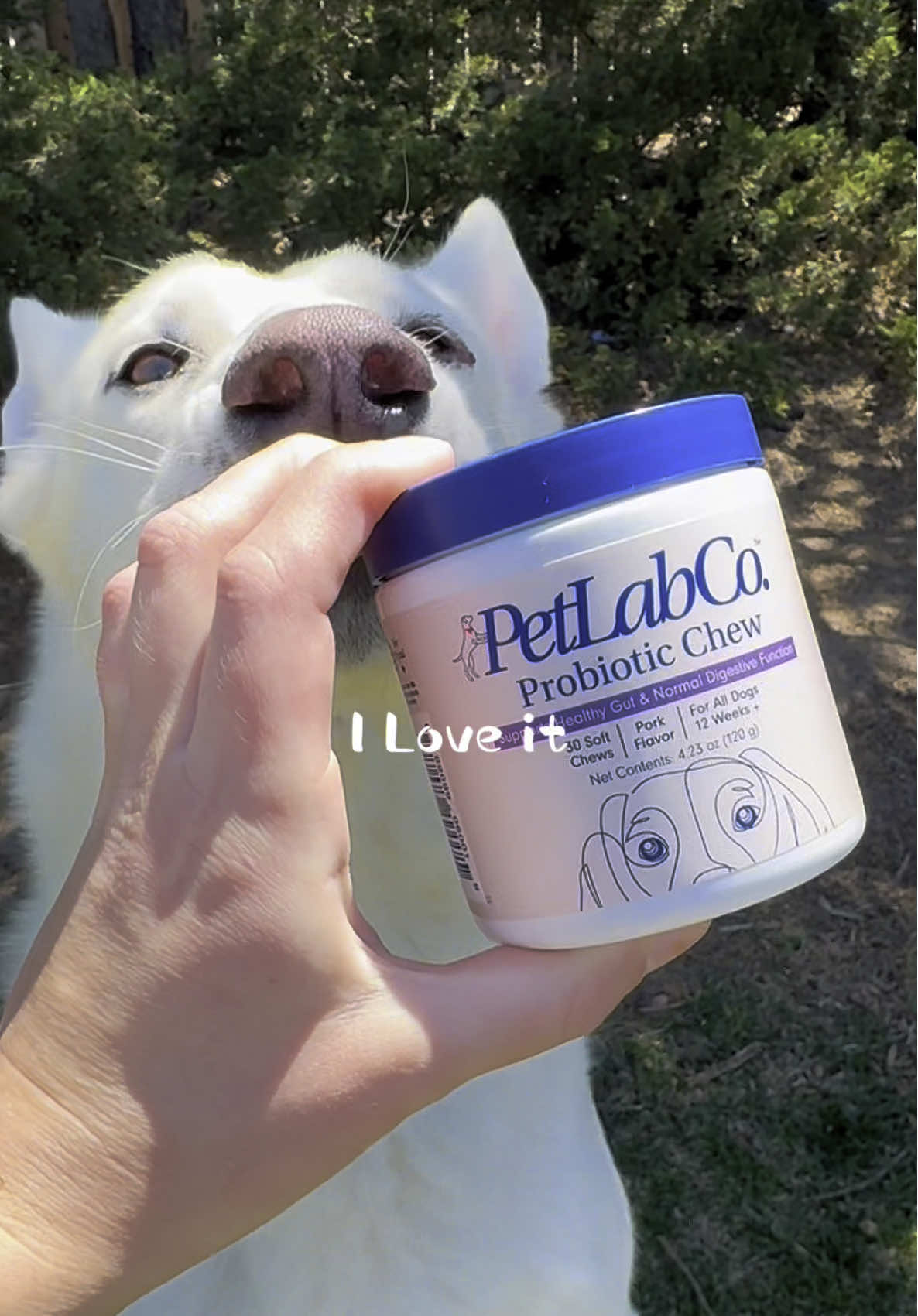 We have been wanting a probiotic for the boys!! They approve✔️#ad #petlabcreator #petlabcoprobiotic 