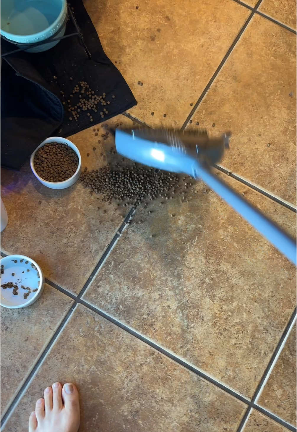 Name a better broom -Link in bio